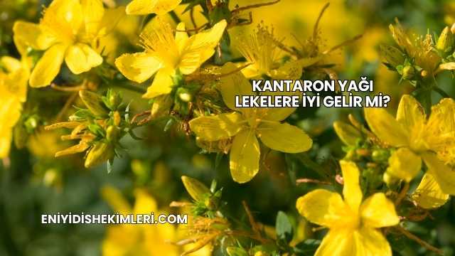 Kantaron Yağı Lekelere İyi Gelir mi?