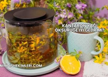 Kantaron Yağı Öksürüğe İyi Gelir mi?