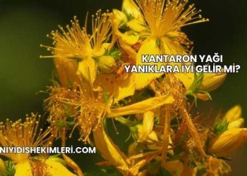 Kantaron Yağı Yanıklara İyi Gelir mi?