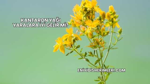 Kantaron Yağı Yaralara İyi Gelir mi?