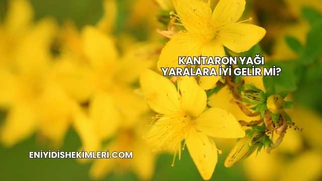 Kantaron Yağı Yaralara İyi Gelir mi?