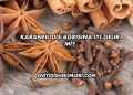 Karanfil Diş Ağrısına İyi Gelir mi?