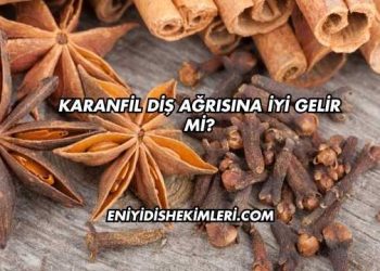 Karanfil Diş Ağrısına İyi Gelir mi?