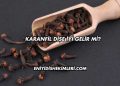 Karanfil Dişe İyi Gelir mi?