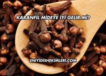 Karanfil Mideye İyi Gelir mi?