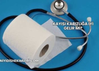 Kayısı Kabızlığa İyi Gelir mi?