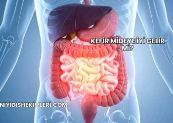 Kefir Mideye İyi Gelir mi?
