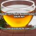 Kekik Çayı Mide Bulantısına İyi Gelir mi?