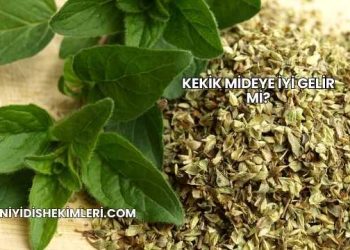 Kekik Mideye İyi Gelir mi?