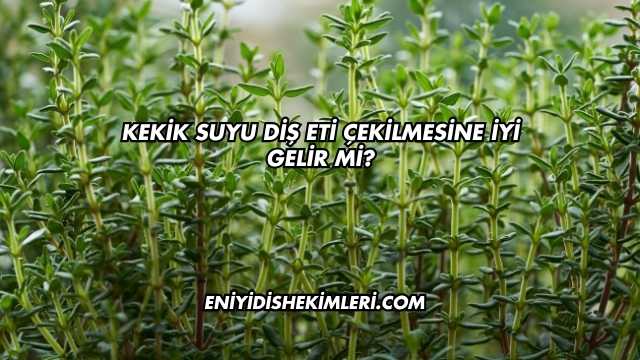 Kekik Suyu Diş Eti Çekilmesine İyi Gelir mi?