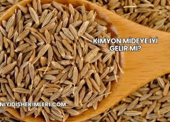 Kimyon Mideye İyi Gelir mi?