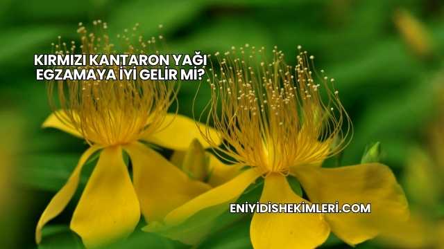 Kırmızı Kantaron Yağı Egzamaya İyi Gelir mi?