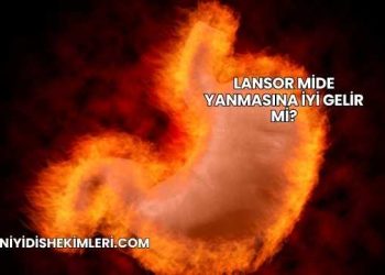 Lansor Mide Yanmasına İyi Gelir mi?