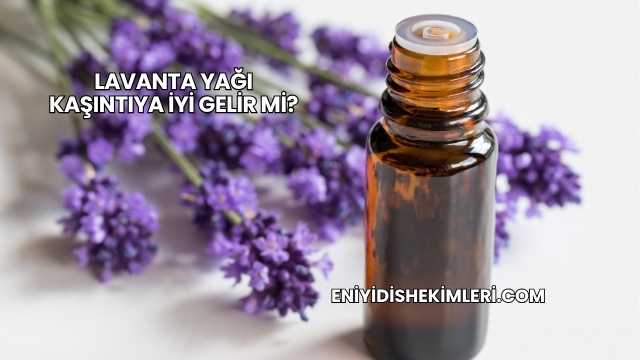 Lavanta Yağı Kaşıntıya İyi Gelir mi?