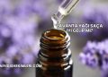 Lavanta Yağı Saça İyi Gelir mi?