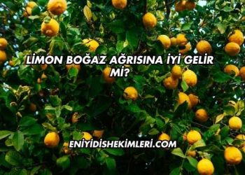 Limon Boğaz Ağrısına İyi Gelir mi?