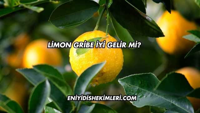Limon Gribe İyi Gelir mi?