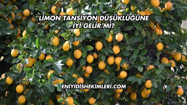 Limon Tansiyon Düşüklüğüne İyi Gelir mi?