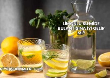 Limonlu Su Mide Bulantısına İyi Gelir mi?