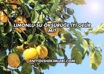Limonlu Su Öksürüğe İyi Gelir mi