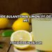 Mide Bulantısına Limon İyi Gelir mi?