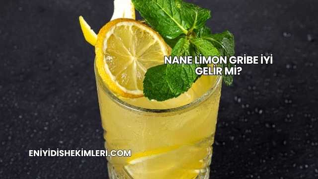 Nane Limon Gribe İyi Gelir mi?