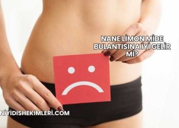Nane Limon Mide Bulantısına İyi Gelir mi?