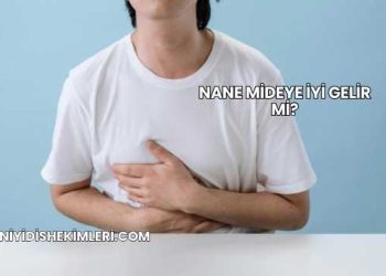 Nane Mideye İyi Gelir mi?