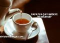 Papatya Çayı Mideye İyi Gelir mi?