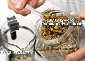 Papatya Çayı Öksürüğe İyi Gelir mi?