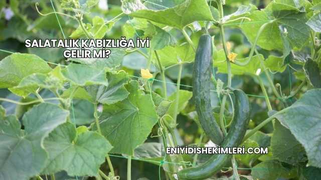Salatalık Kabızlığa İyi Gelir mi?