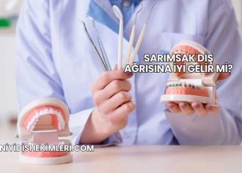 Sarımsak Diş Ağrısına İyi Gelir mi?