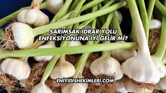 Sarımsak İdrar Yolu Enfeksiyonuna İyi Gelir mi?