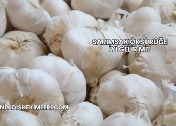 Sarımsak Öksürüğe İyi Gelir mi?