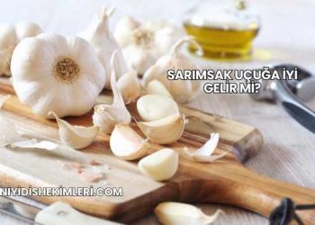 Sarımsak Uçuğa İyi Gelir mi?