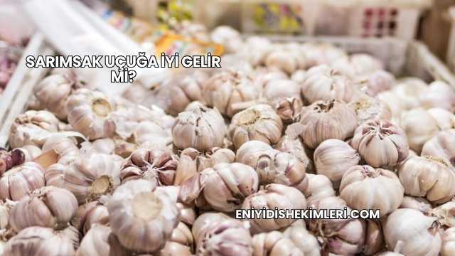 Sarımsak Uçuğa İyi Gelir mi?