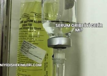 Serum Gribe İyi Gelir mi?