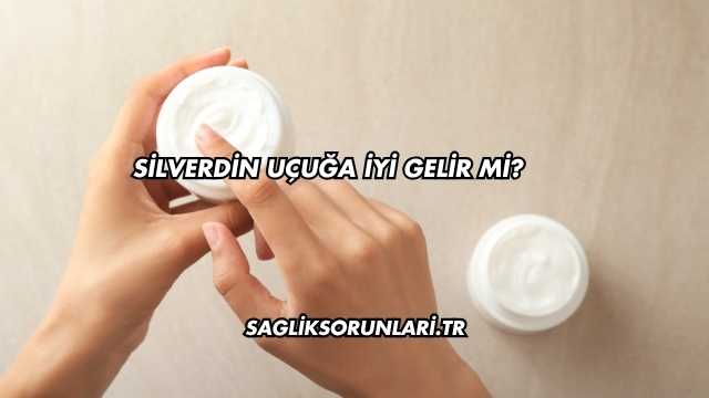 Silverdin Uçuğa İyi Gelir mi?