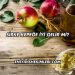 Sirke Kepeğe İyi Gelir mi?