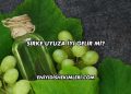 Sirke Uyuza İyi Gelir mi?