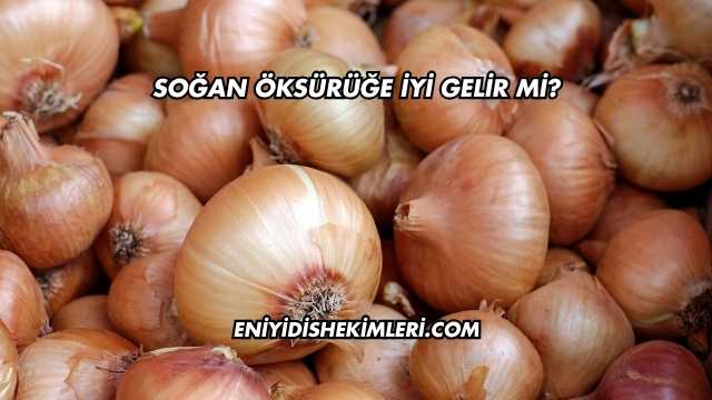 Soğan Öksürüğe İyi Gelir mi?