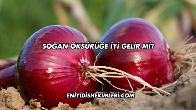 Soğan Öksürüğe İyi Gelir mi?