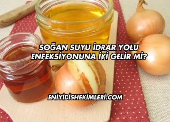 Soğan Suyu İdrar Yolu Enfeksiyonuna İyi Gelir mi?