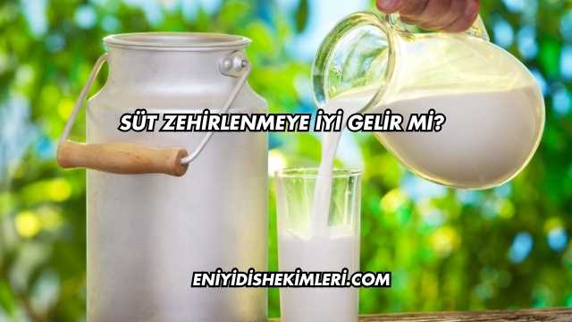 Süt Zehirlenmeye İyi Gelir mi