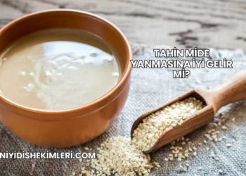 Tahin Mide Yanmasına İyi Gelir mi?