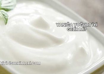 Yanığa Yoğurt İyi Gelir mi?