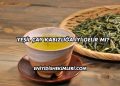 Yeşil Çay Kabızlığa İyi Gelir mi?
