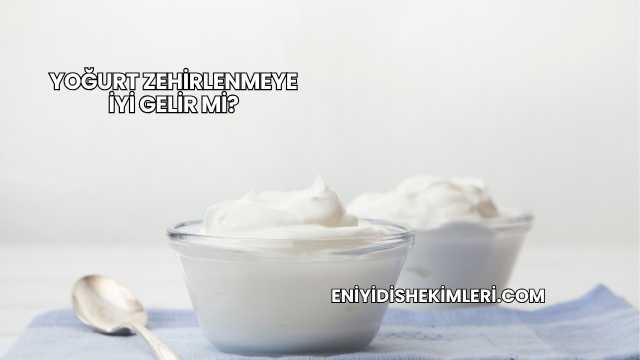 Yoğurt Zehirlenmeye İyi Gelir mi?