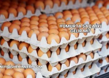 Yumurta Saça İyi Gelir mi?