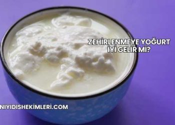 Zehirlenmeye Yoğurt İyi Gelir mi?